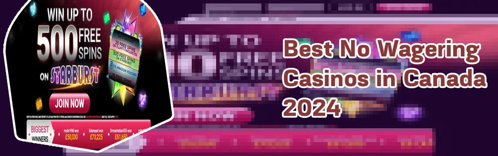 Best online casino no wagering